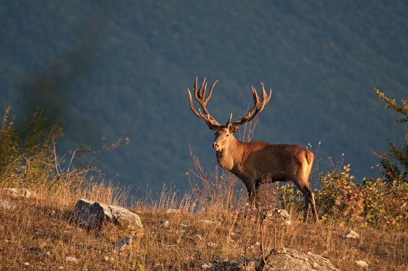 Equinozio d''autunno